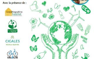 image JOURNÉE DE L'ENVIRONNEMENT